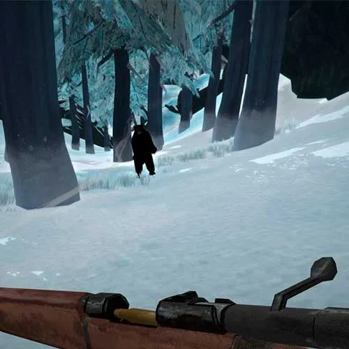The Long Dark (PC Steam Key / Global)