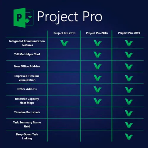 Microsoft Project Pro 2019 (Lifetime License / Global)