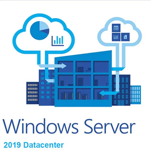 Microsoft Windows Server Datacenter 2019 (Lifetime License / Global)