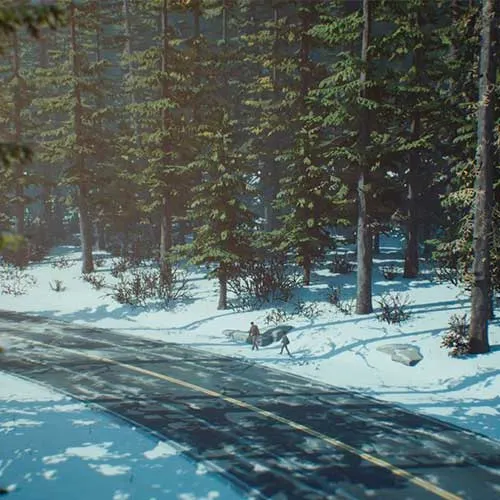 Life is Strange 2 – Komplette Staffel (PC Steam Key / Global)