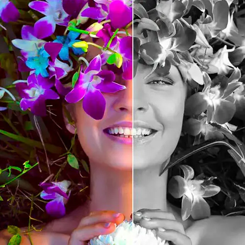 Corel AfterShot Pro 3 (Windows) (Licenza a vita / Global)